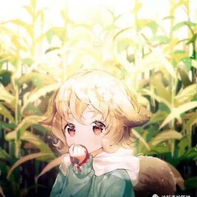 张凌赫工作室郑重声明